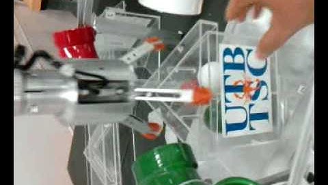 Invarza Seiko D-Tran integrated System