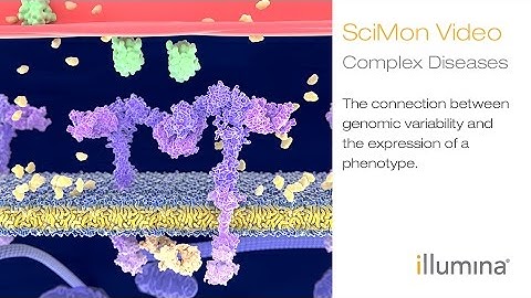 Complex Diseases: The Connection Between Genomic Variability and the Expression of a Phenotype