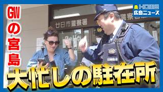 【外国人迷子】GWでごった返しの宮島唯一の駐在所に密着「宮島が気に入って大好きになりました」