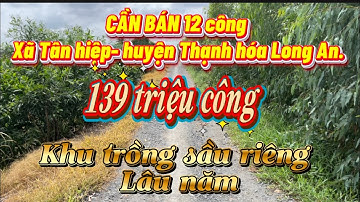 👉 12 công đất lúa khu trồng sầu riêng cây ăn trái đường ô tô xã Tân hiệp huyện Thạnh hóa Long An 