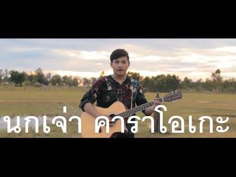  คาราโอเกะ นกเจ่า - Popasia