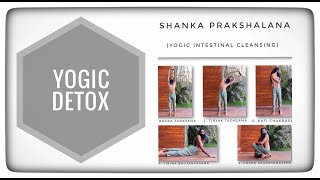 How to Do Shanka Prakshalana | Yogic Intestinal Cleansing