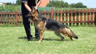 Deisy Od Tiganjice 3