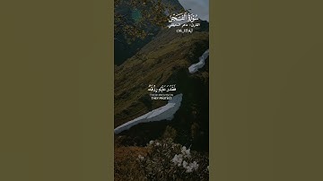 القارئ #ماهر_المعيقلي (فأما الإنسان إذا ما ابتلاه ربه فأكرمه ونعمه) [الفجر: 15_16]