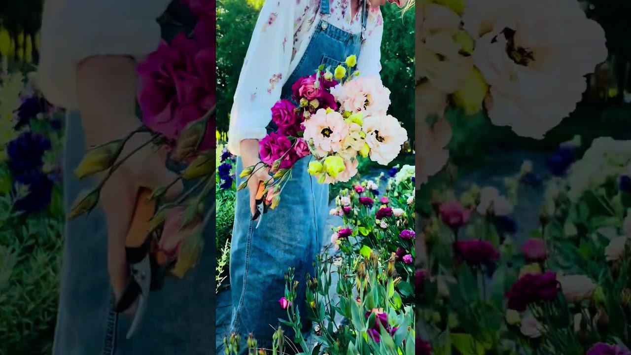 #flowerfarming #gardening #flowers