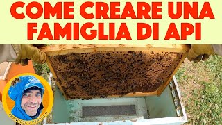 18 Apicoltura : Come creare nuove famiglie di api. Facciamo nuovi nuclei 2021