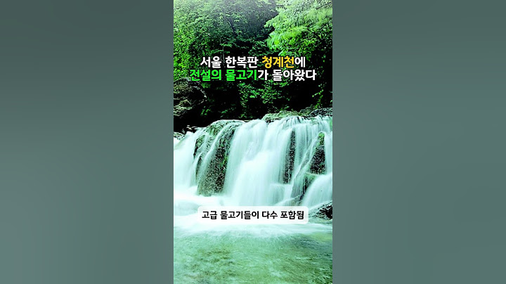 서울 한복판 청계천에 전설의 물고기가 돌아왔다