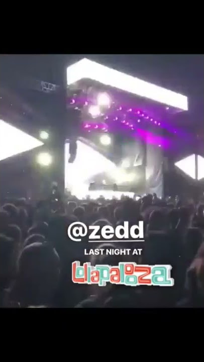 Zedd In My Blood REMIX