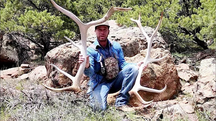Elk Shed hunt 2022, 40+ miles on the hunt!