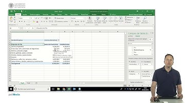 Power Pivot. El modelo de datos de Excel, medidas y su contexto |  | UPV