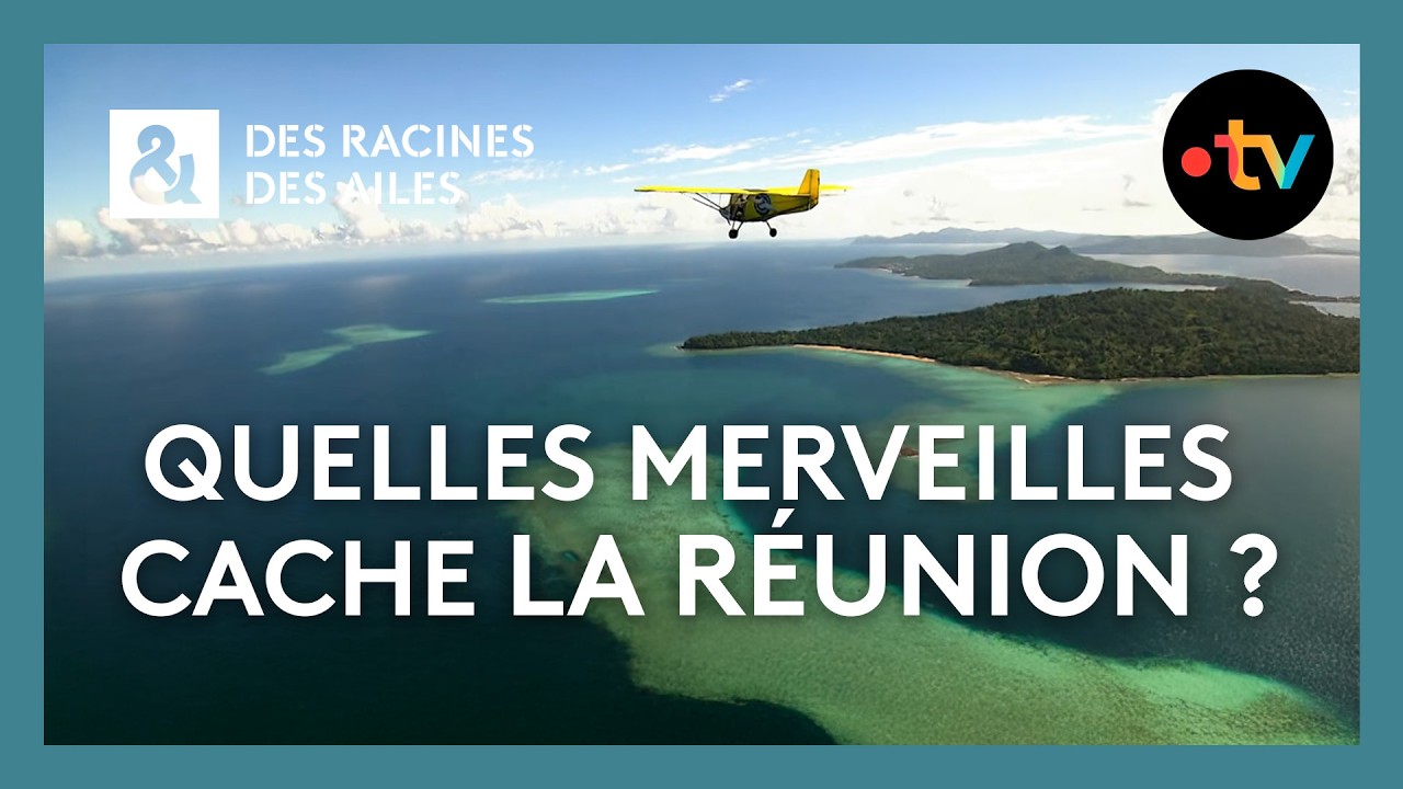 Quelles merveilles cache La Réunion ? - Des racines et des ailes