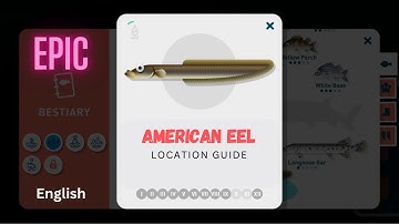 Creatures of The Deep American Eel Location Guide #walkthrough #shredder #gameplay #guide #english