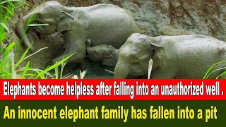 Elephants become helpless after falling into an unauthorized well Elephant Quest by BLACK ELEPHANT 204 views 2 weeks ago 1 minute, 26 seconds