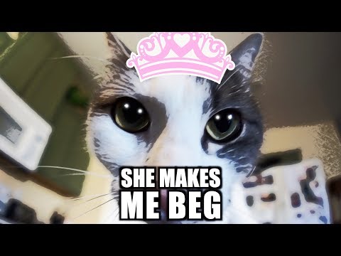 ♫-she-makes-me-beg-♫-music-video