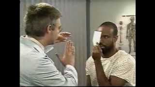 2  Neurology   Cranial Nerves I and II   YouTube
