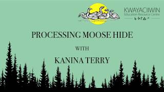 Processing Moose Hide with Kanina Terry