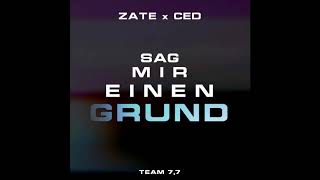 Watch Zate Sag Mir Einen Grund feat CedMusic video