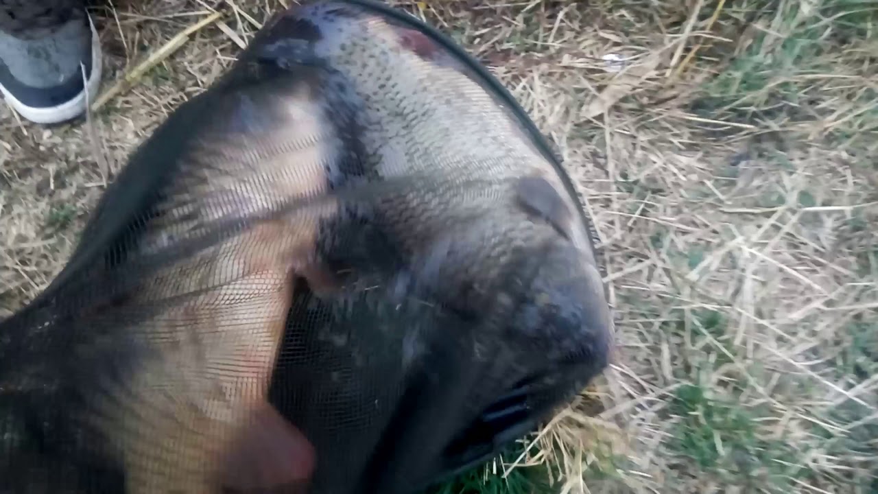 Braconajul, hotii, pescuitul, paza, pescarii, Lacul Boteni 1 pe timp de noapte, drumuri ok