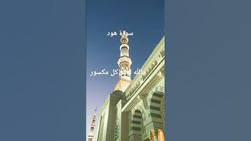 القرآن الكريم #اكسبلور #المصحف #تلاوات_رائعة #لايك