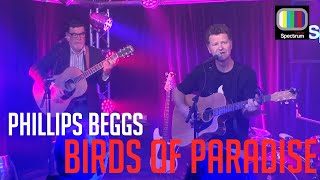 Phillip Beggs - Birds of paradise (July 2017) screenshot 3
