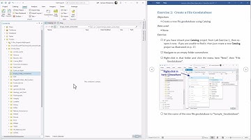 Data Types in ArcGIS Pro:  Lab Exercise 2