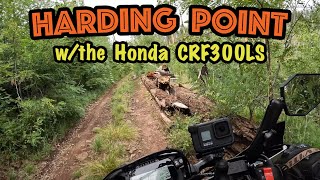 An Escape to Harding Point on the Honda CRF300LS