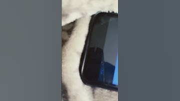 Windows 7 on iPhone ￼