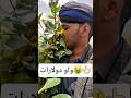 ماذا حدث؟ | What Just Happened?