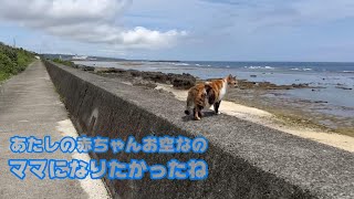 ママになる気だったのよ でもあたしの赤ちゃんお空に還っちゃった またね 2024 04 27 2