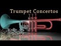 Capture de la vidéo Telemann: Trumpet Concertos Vol.1