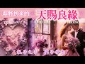五月塔羅占卜：🔮即將到來的天賜良緣💓宇宙為你安排的下一位戀人，TA是一個怎樣的人👑（外貌特徵，性格特質，事業財富狀況，星座，年齡等等）你們會如何相遇🫶🏻又會如何走向彼此❤️是否會修成正果🚀