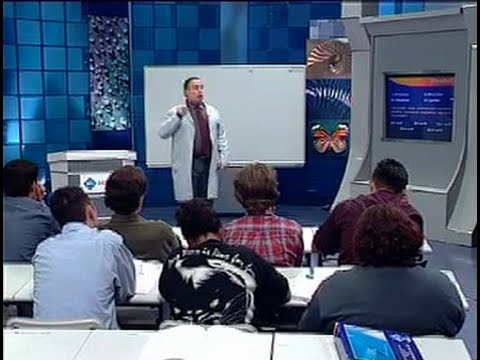 Sindirim Ve Sindirim Sistemi - BİL IQ LYS Biyoloji Eğitim Seti