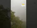 Storm cleanup, a beagle on duty and fireworks chaos | Morning Minute