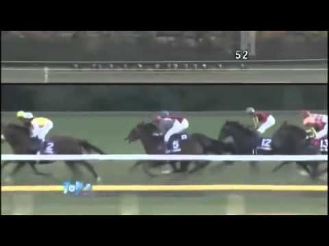 2012年第32回ジャパンカップ（GI）