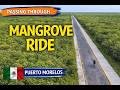 Bike Ride Through the Mangroves 🌿 Puerto Morelos Beach to Colonia