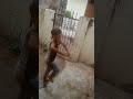 vara aala paus aala🌧️💦⛈️#marathi#song#popular#viral#old#youtube#short👀👀