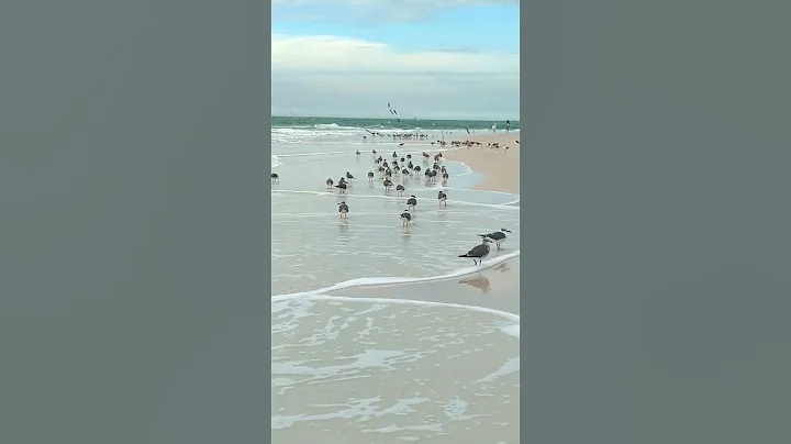 The rhythmic ebb and flow of the waves, - DayDayNews