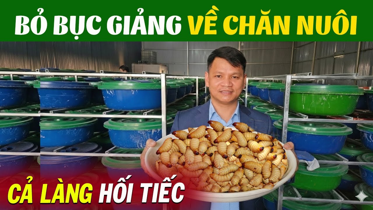 Cả Làng Sốc Khi Thầy Giáo Bỏ Nghề Nhà Nước Về Nuôi Đuông Dừa Và Cái Kết Không Ai Ngờ