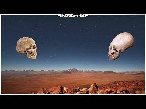 Norman Investigativ - In Eigener Sache!