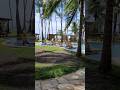 Beijupirá na Praia dos Carneiros #praiadoscarneiros