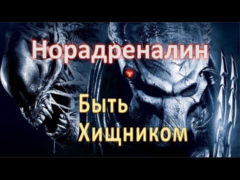 Норадреналин, Быть Хищником!