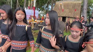 Phục dựng đâm trâu 