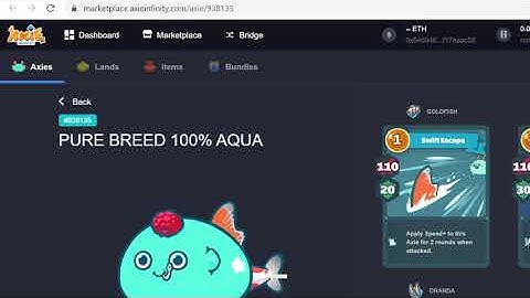 Axie Infinity | HOW TO BUILD YOUR FIRST AXIE TEAM