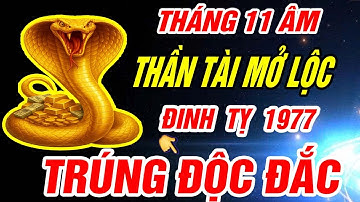 Thần tài mở lộc Tuổi ĐINH TỴ 1977 NHẬN VẬN MAY CỰC ĐỎ CỰC GIÀU đúng Tháng 11 âm lịch 2025