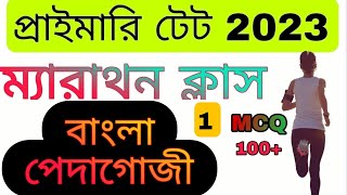 কমন যোগ্য bangala pedagogy MCQ// primary top Bengali pedagogy MCQ// marathon Bengali tet 2023