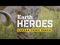 Regenerative Agriculture [Texas Cattle Ranch] land restoration family farm