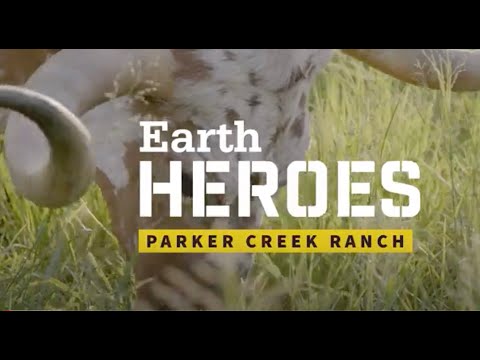 Regenerative Agriculture [Texas