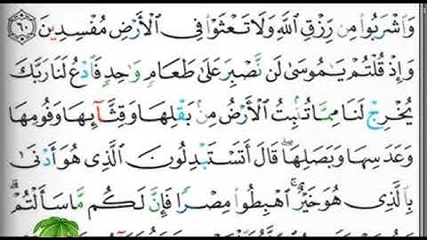 مصحف التجويد المرتل الصفحة 9 إبراهيم الأخضر