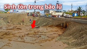 SINH TỒN TRONG MƯA BÃO | Người đàn ông giải cứu bé gái và gặp nạn trong lũ lụt