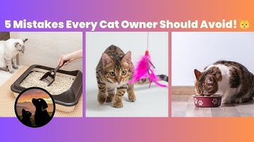 5 Mistakes Every Cat Owner Should Avoid! #cats #catlovers #pets